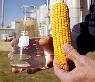 Bioethanol from corn grain