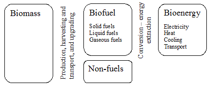 Biomass terminology