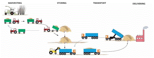 schematic of SRC harvesting